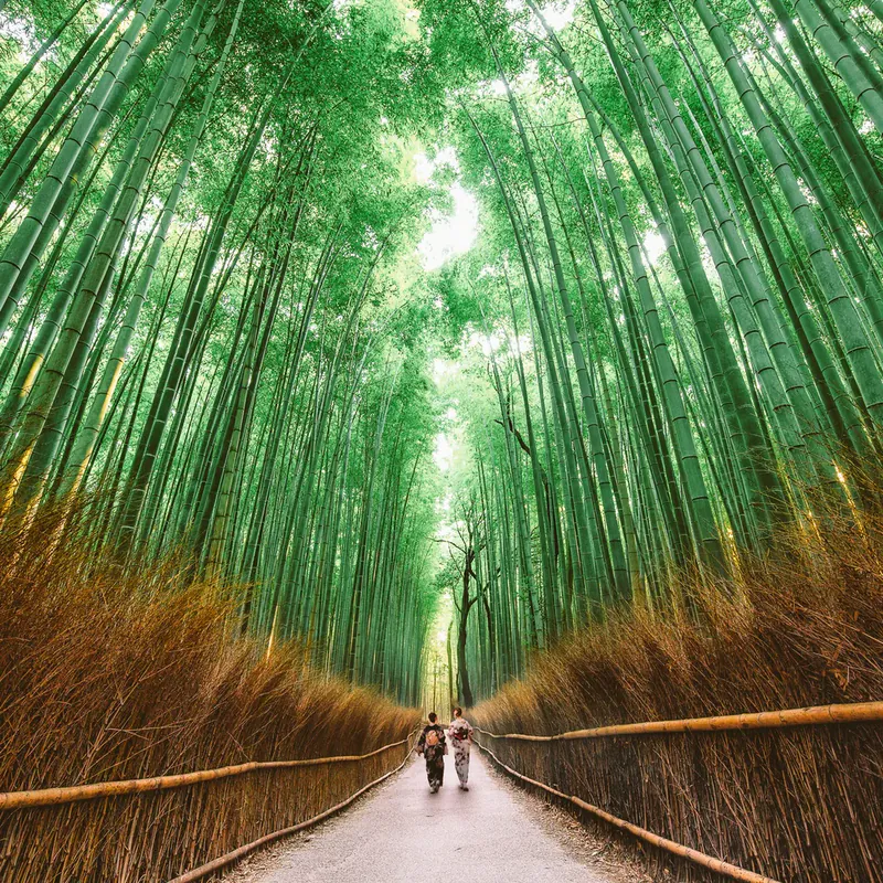 Kyoto
