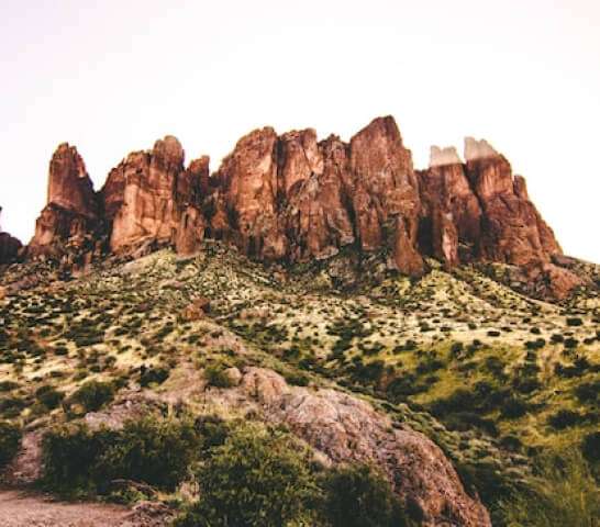 phoenix