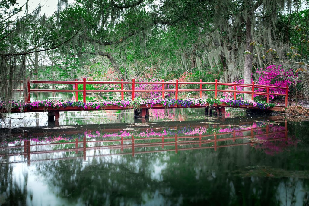 charleston south carolina valentines day ovago