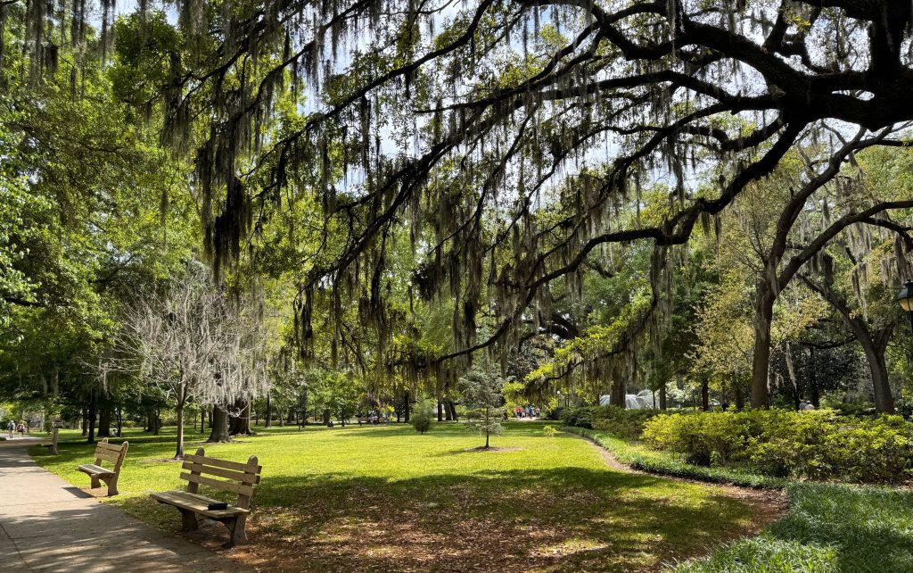 savannah georgia valentines day ovago