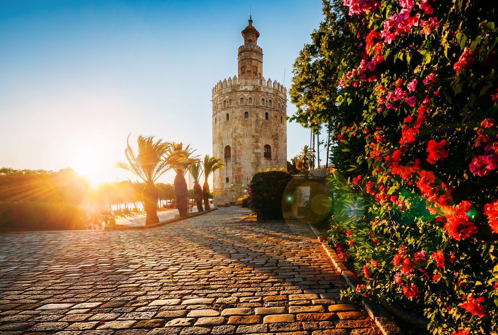 seville valentines day ovago