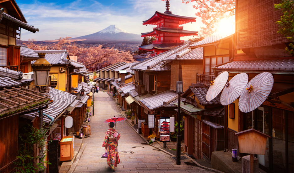cherry blossom adventure in Japan