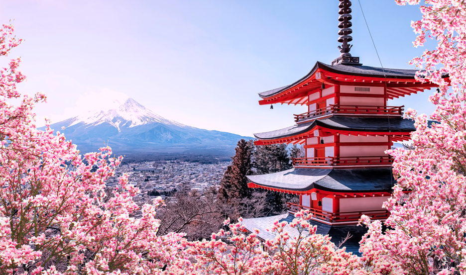 Cherry Blossom Season 2026: Forecast, Destinations, Pro-Tips