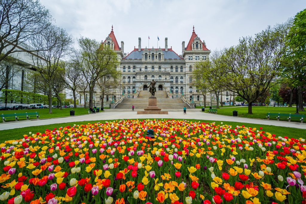 albany tulip festival ovago