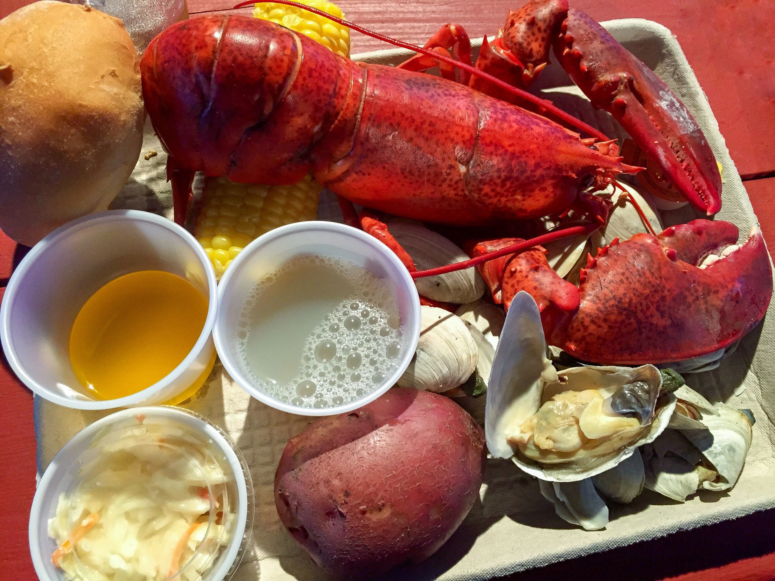 maine lobster festival ovago