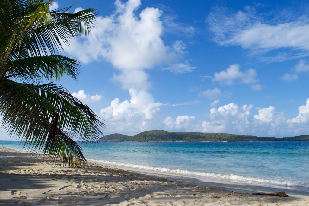 culebra puerto rico ovago