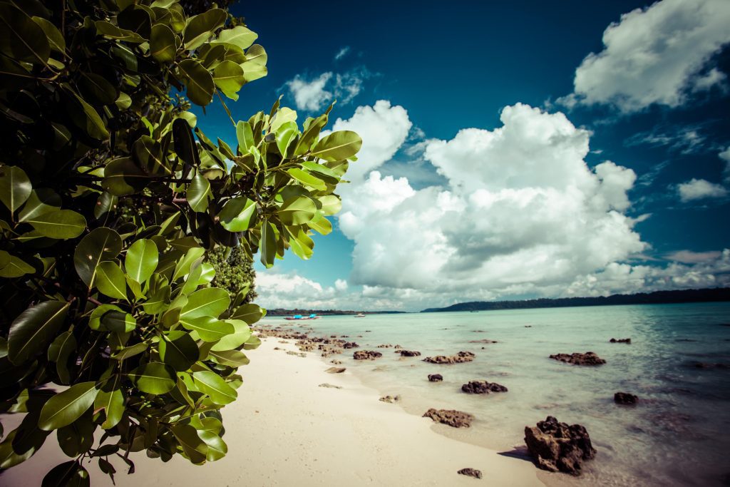 havelock island india ovago