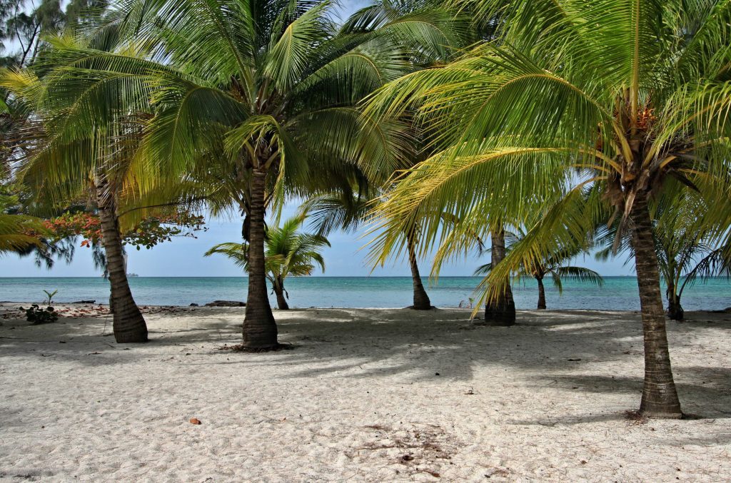 utila honduras ovago