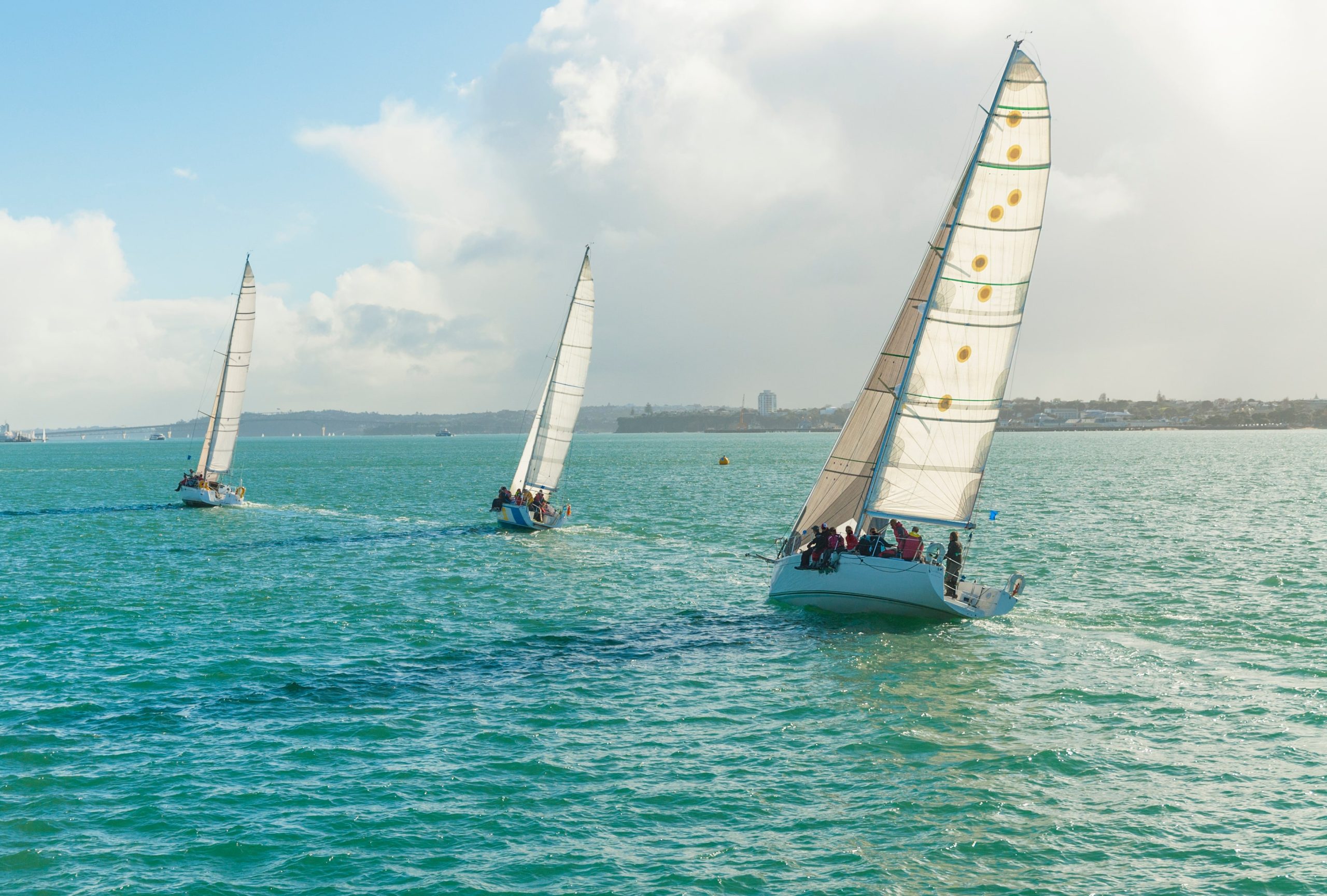 auckland anniversary regatta ovago