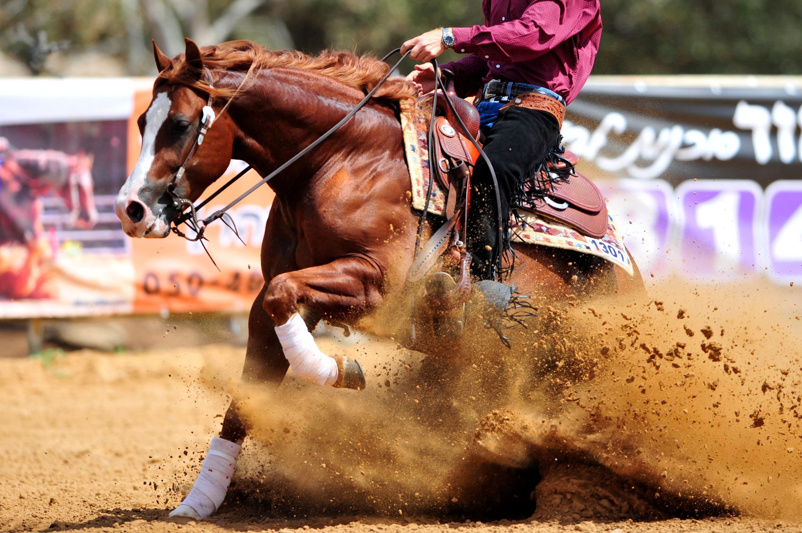 national western stock show ovago