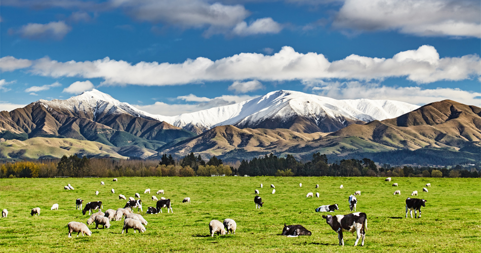 New Zealand - Best places for solo female travel
