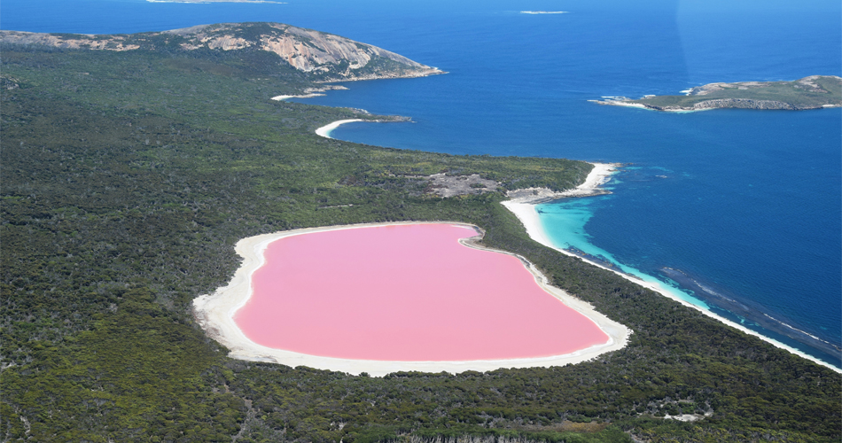 pink lakes - Lake Hillier