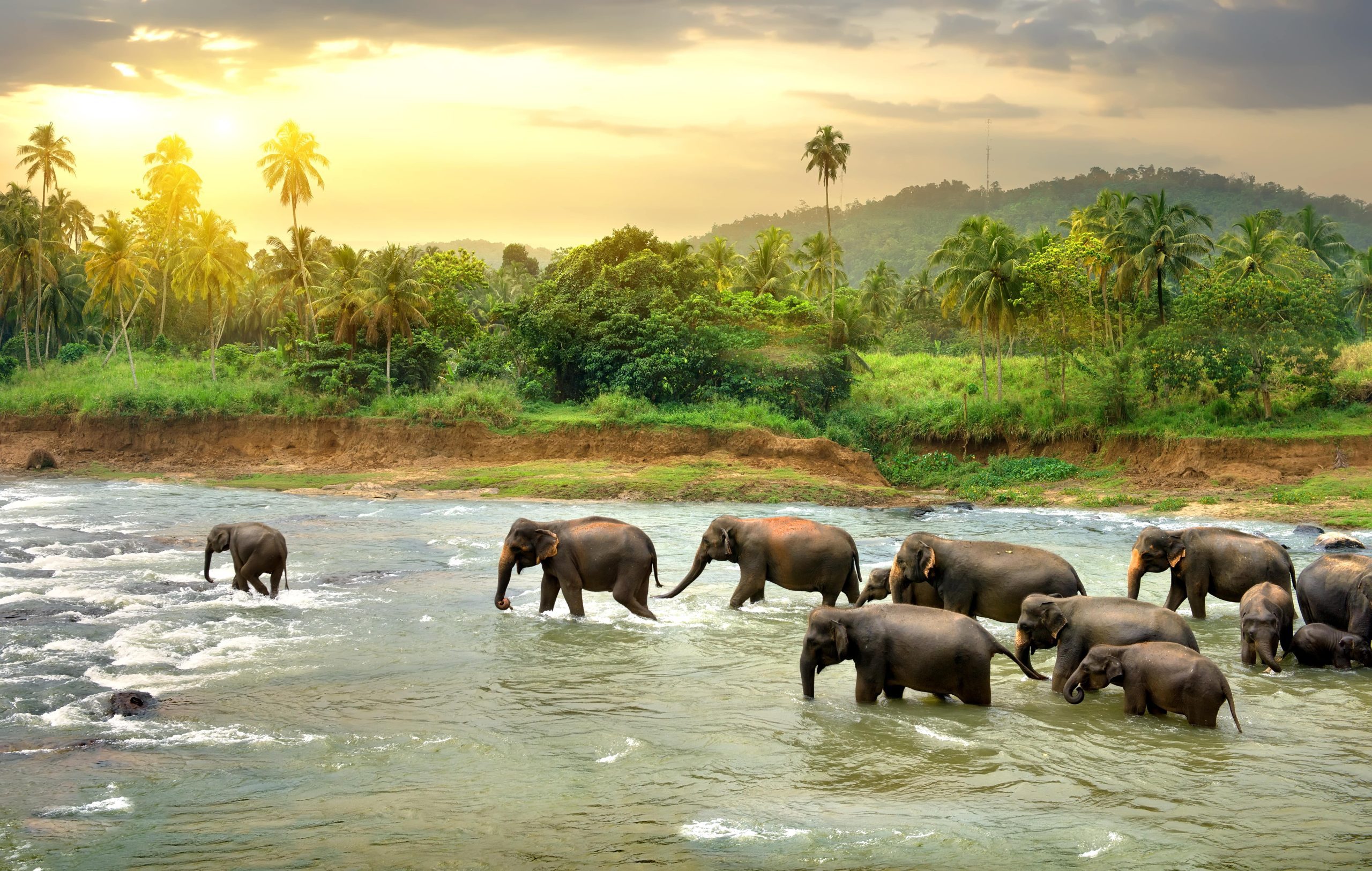 sri lanka ovago