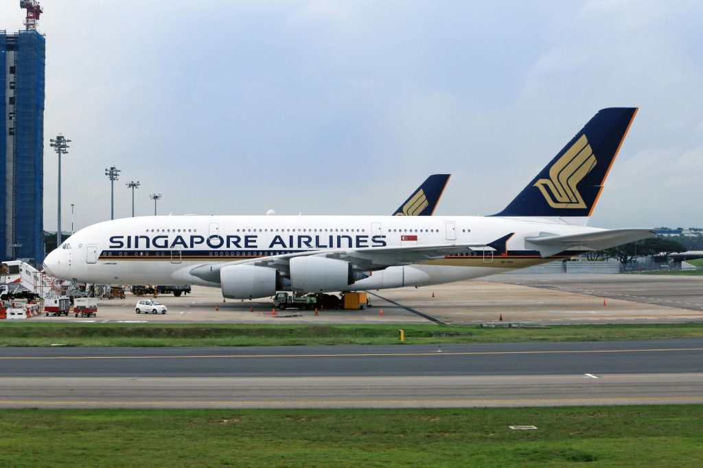 top premium economy ovago