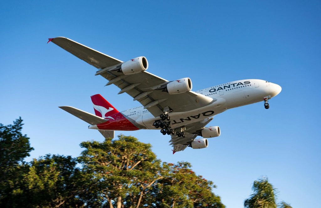 premium economy ovago