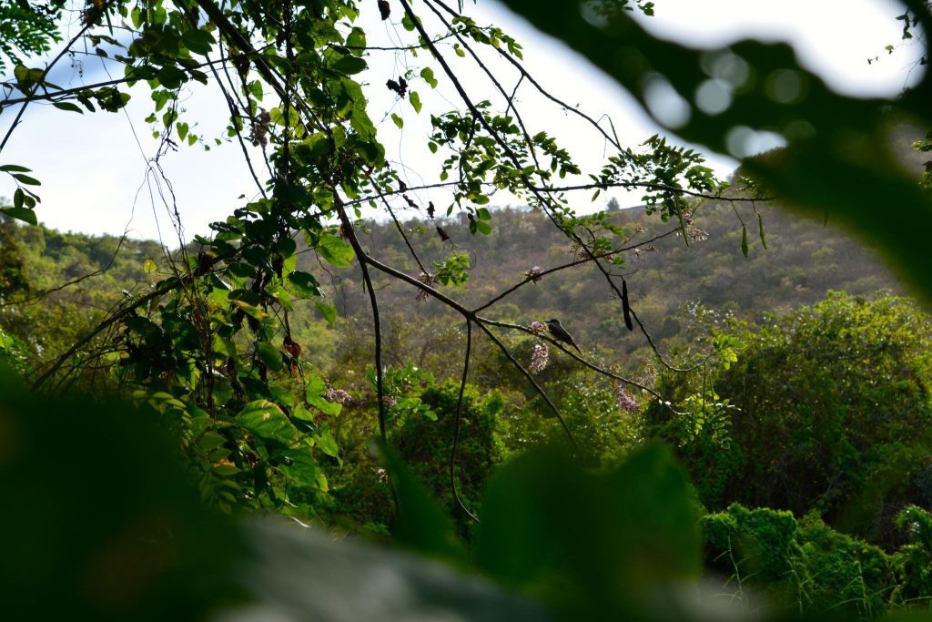 puerto rico san juan ovago