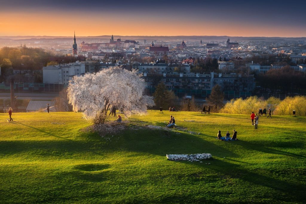 poland krakow ovago