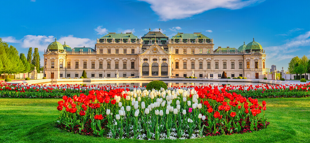 belvedere palace vienna austria tulip garden