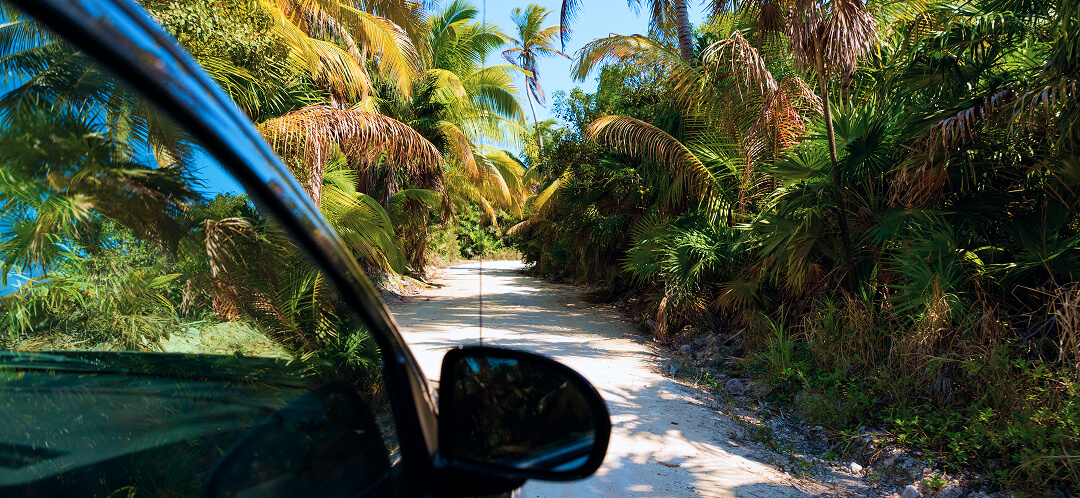 tropical jungle road to cenote