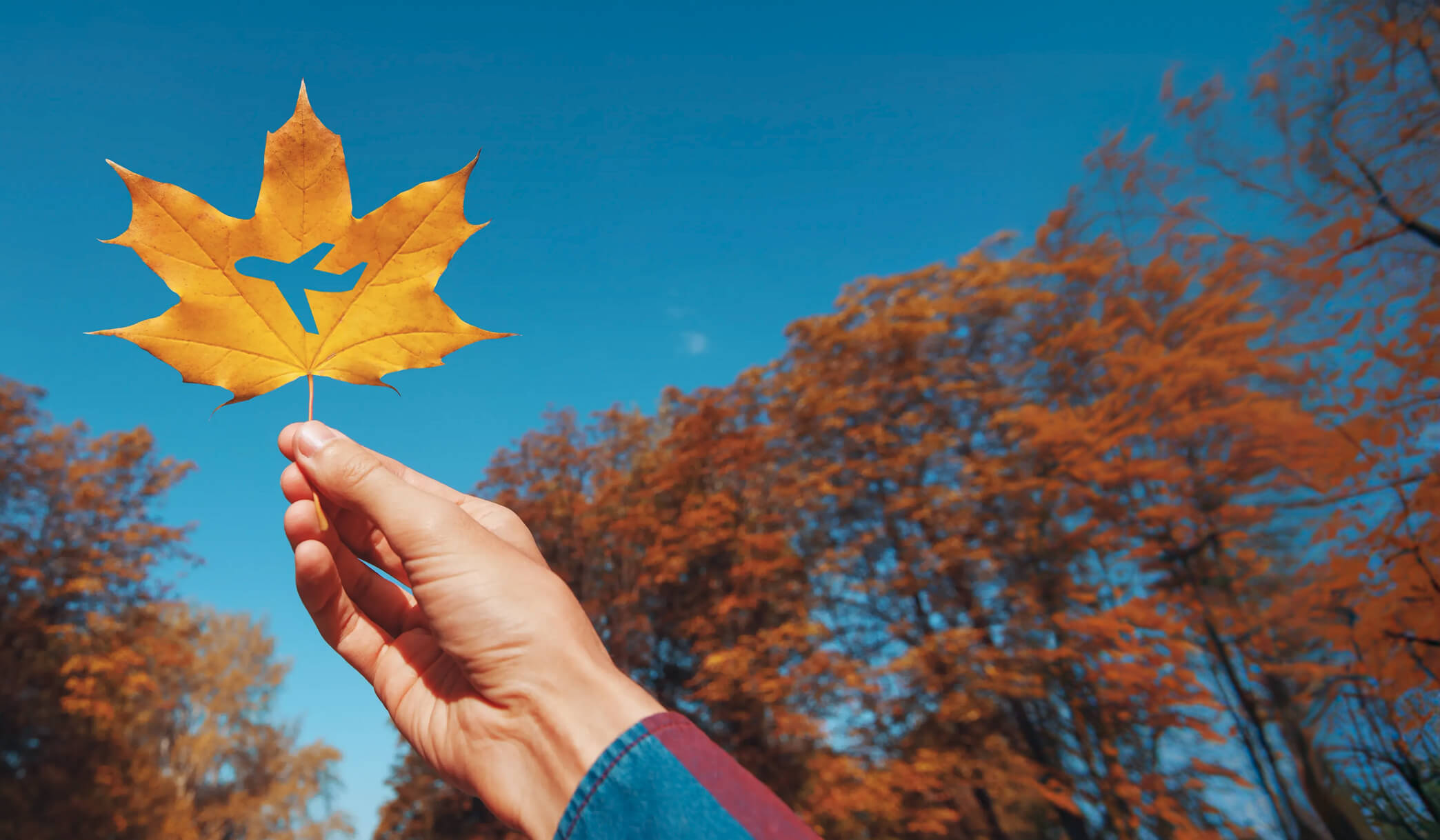 fall season flight deals for autumn travel savings