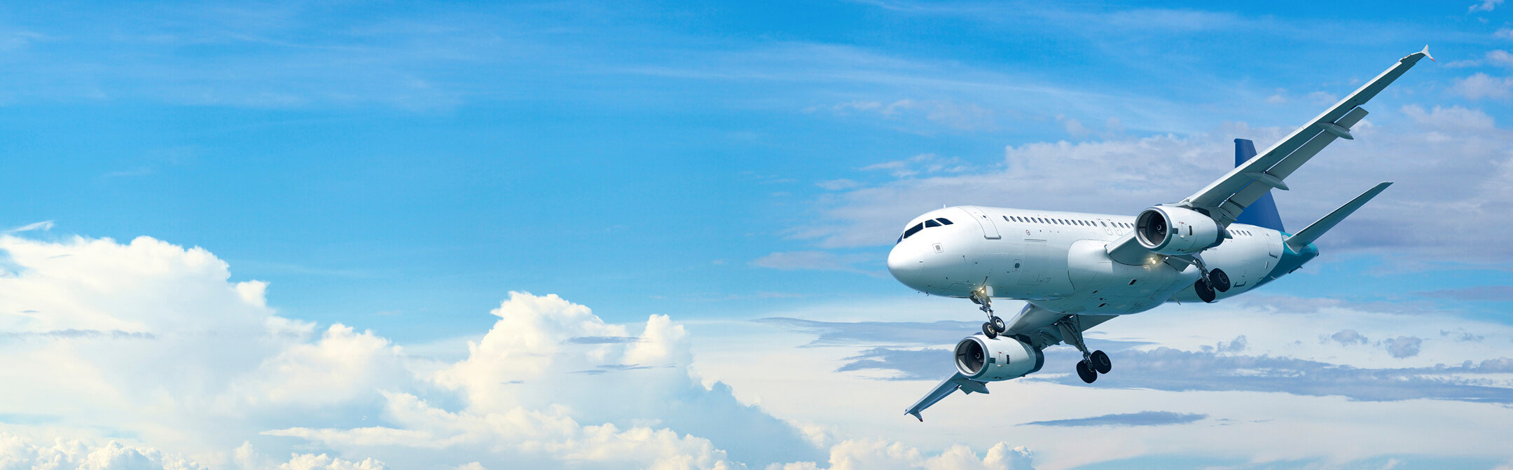 japan airlines and ana economy class long haul flight