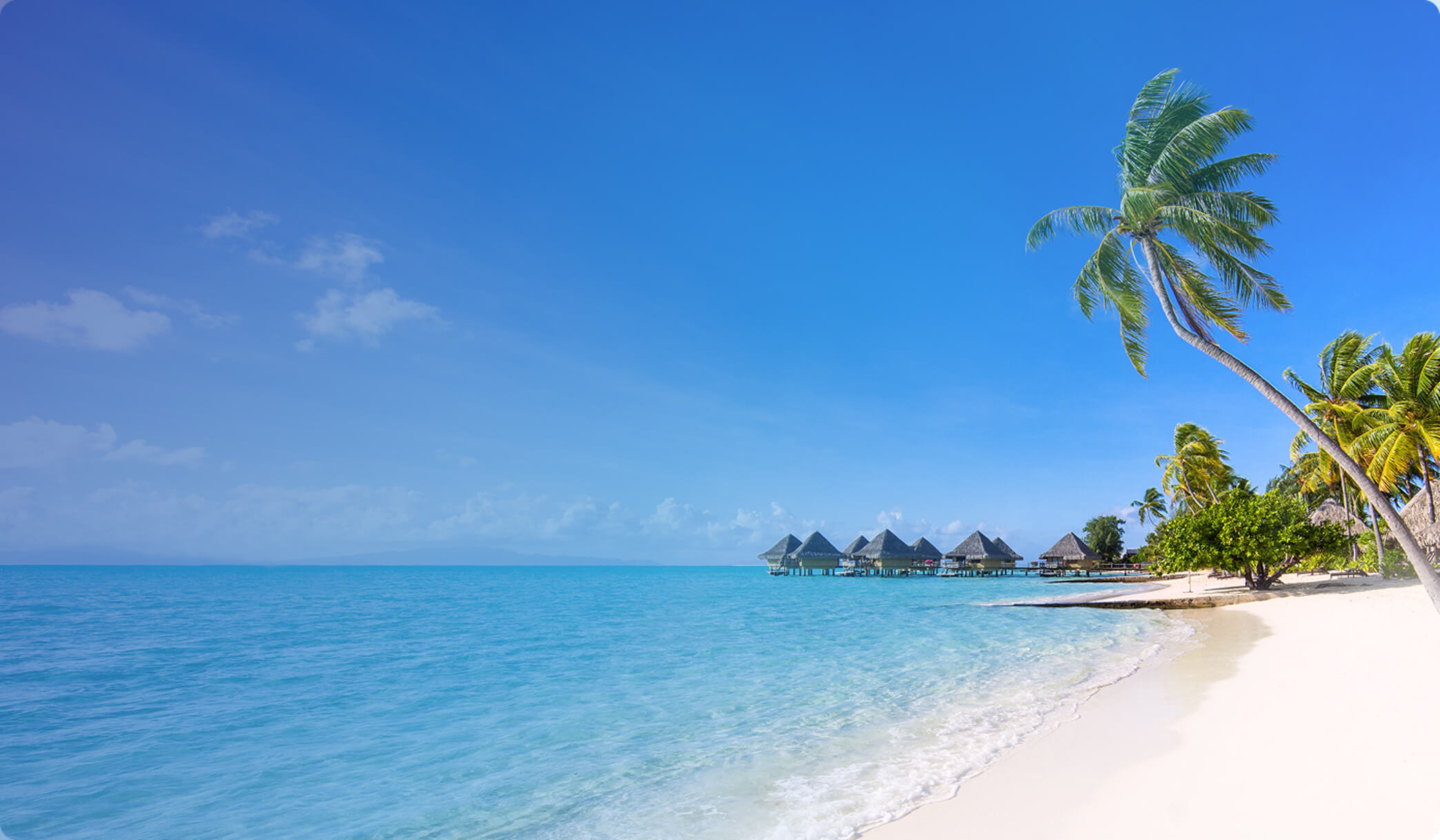 tropical beach over water bungalows palm trees ocean