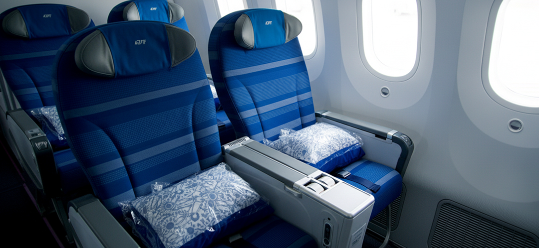 premium economy cabin seats