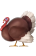 skip_lazy